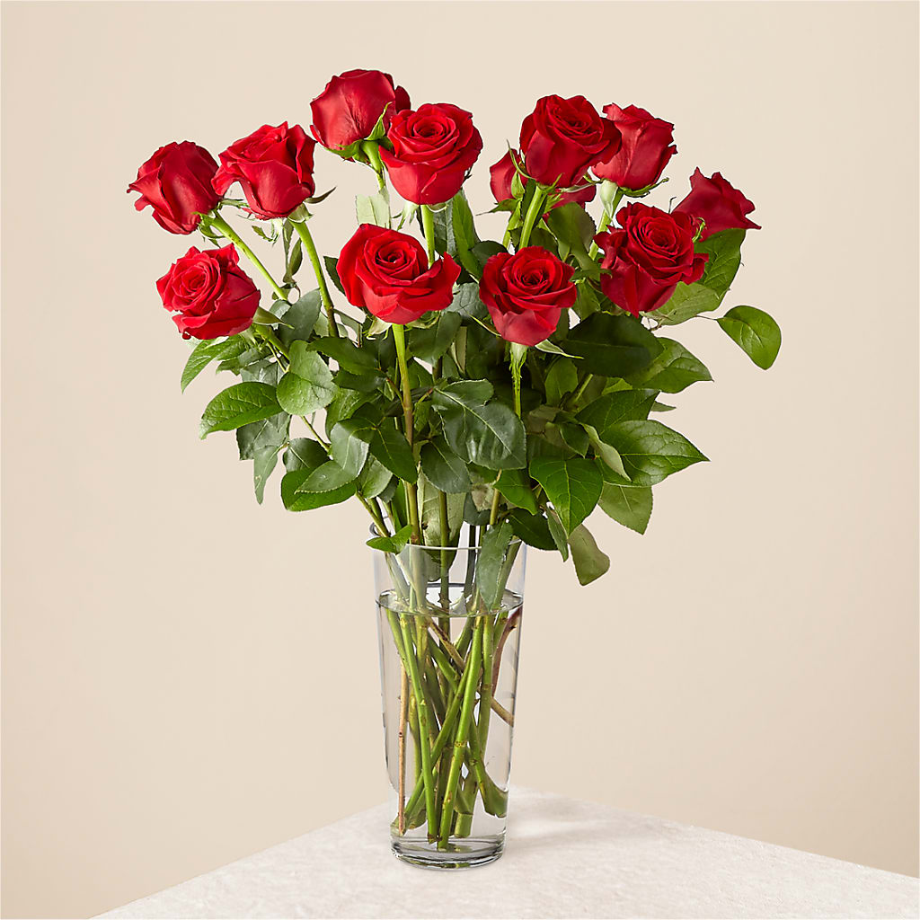 Long Stem Red Rose Bouquet – Ambrosia Flowers, Castle Rock CO