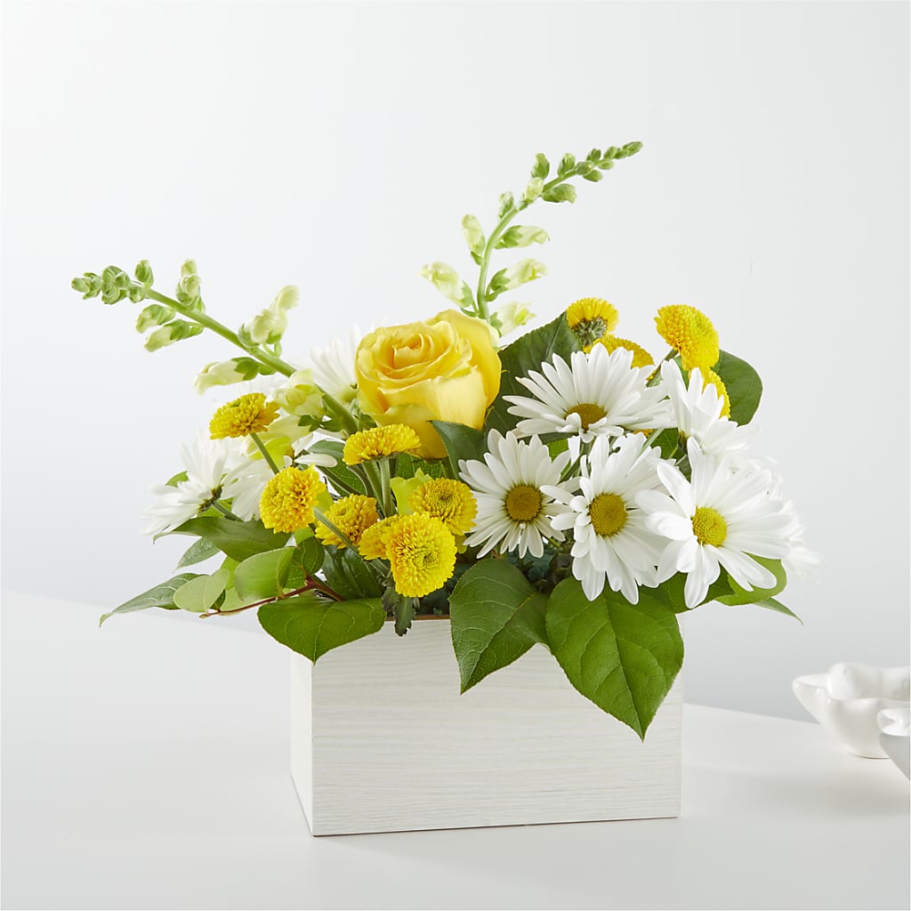 Sun Salutation Box Bouquet – Ambrosia Flowers, Castle Rock CO