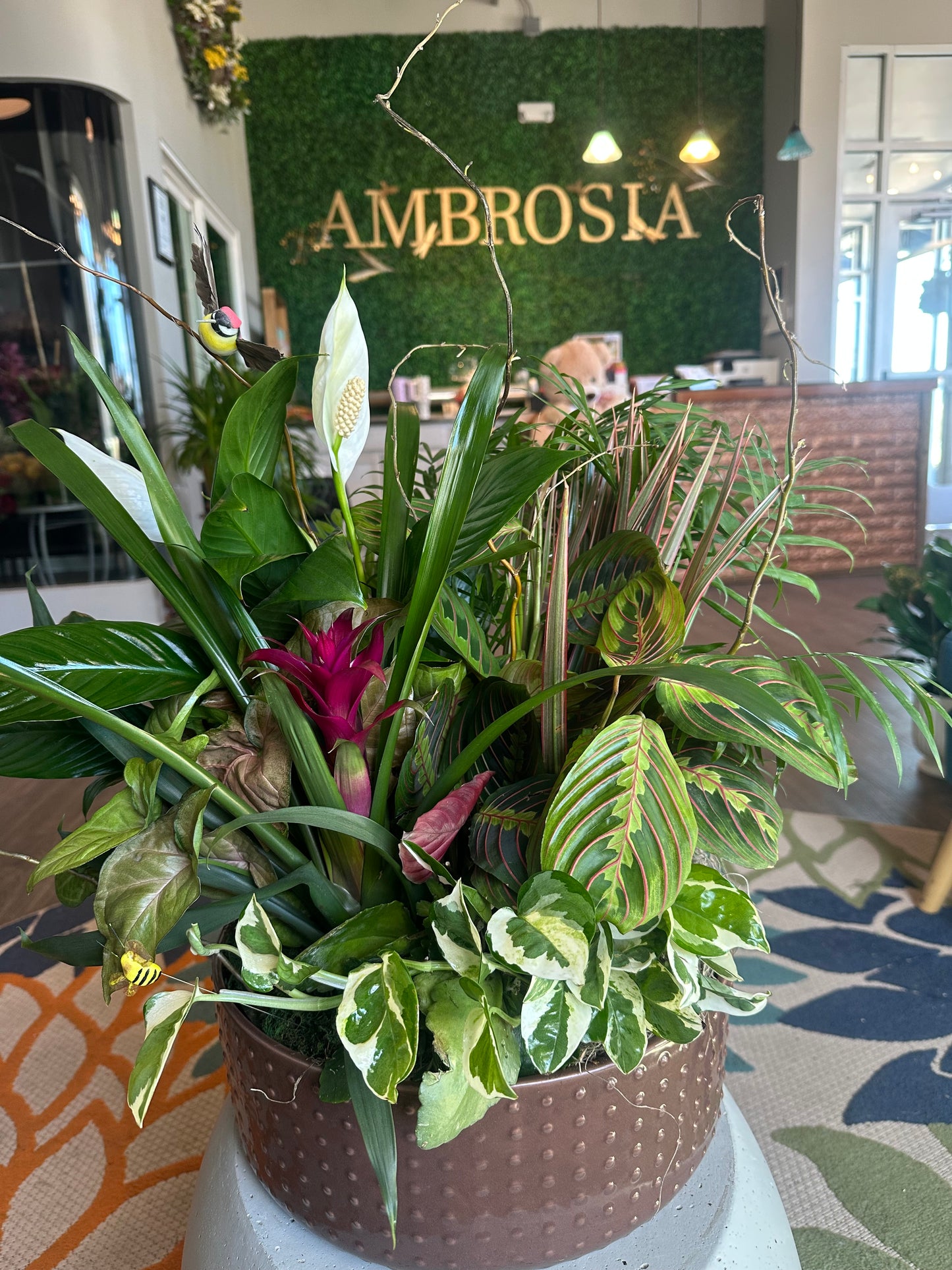 The ULTIMATE Dish Garden – Ambrosia Flowers, Castle Rock CO
