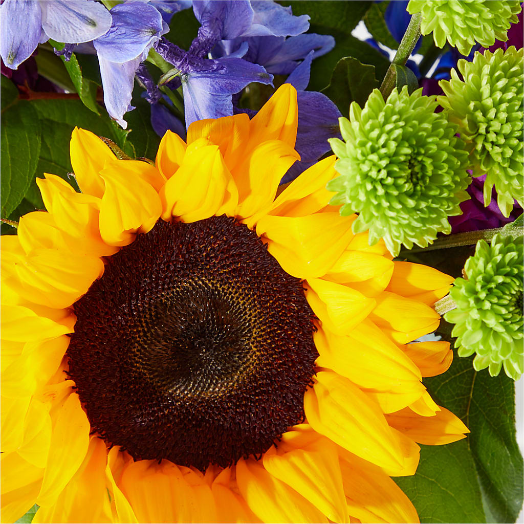 Catching Rays Bouquet – Ambrosia Flowers, Castle Rock CO