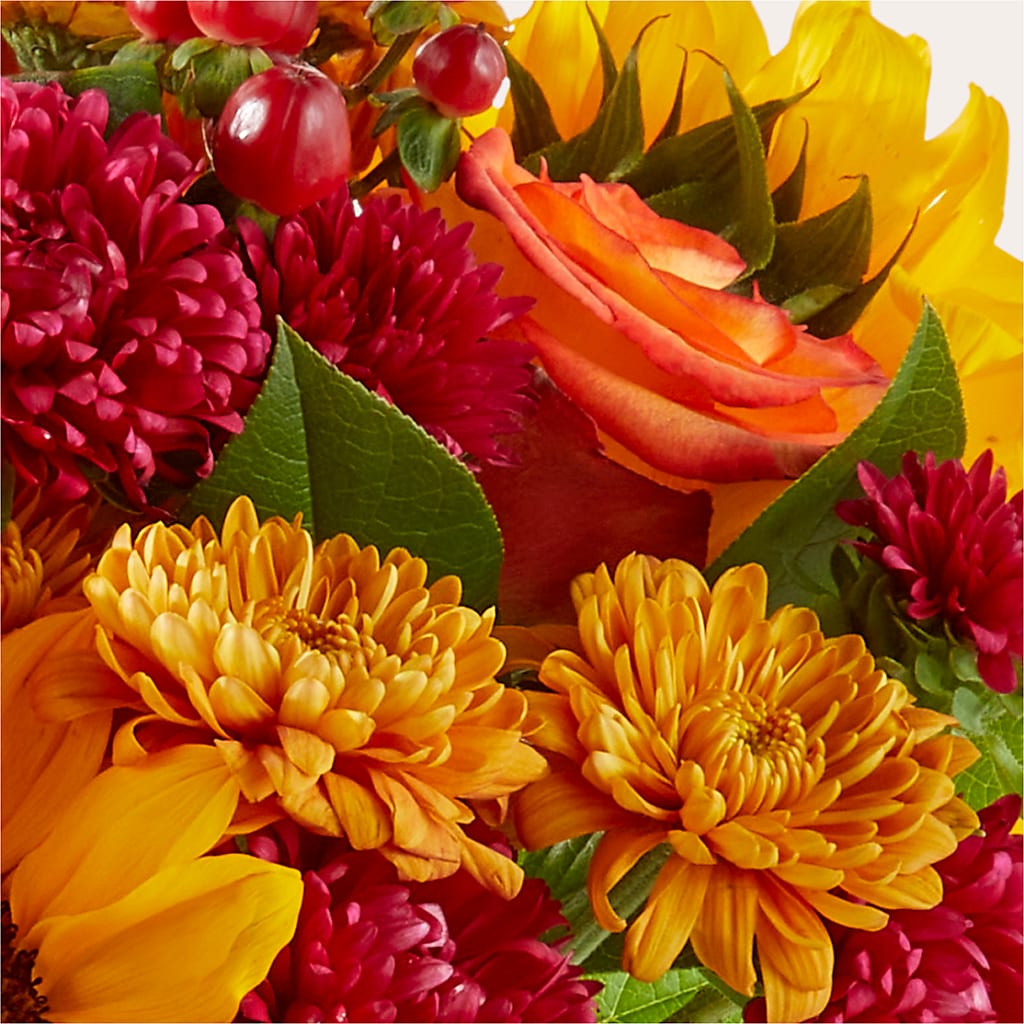 Sweater Season - A Florist Original – Ambrosia Flowers, Castle Rock CO