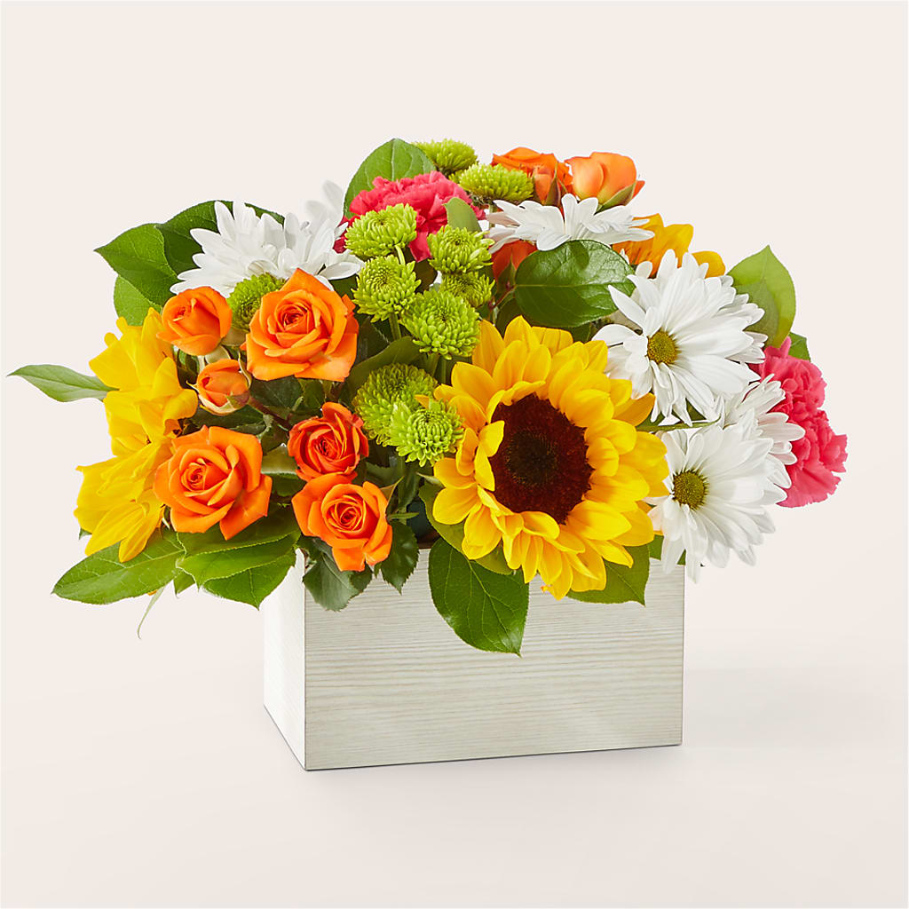 Sun-drenched Blooms Box Bouquet – Ambrosia Flowers, Castle Rock CO