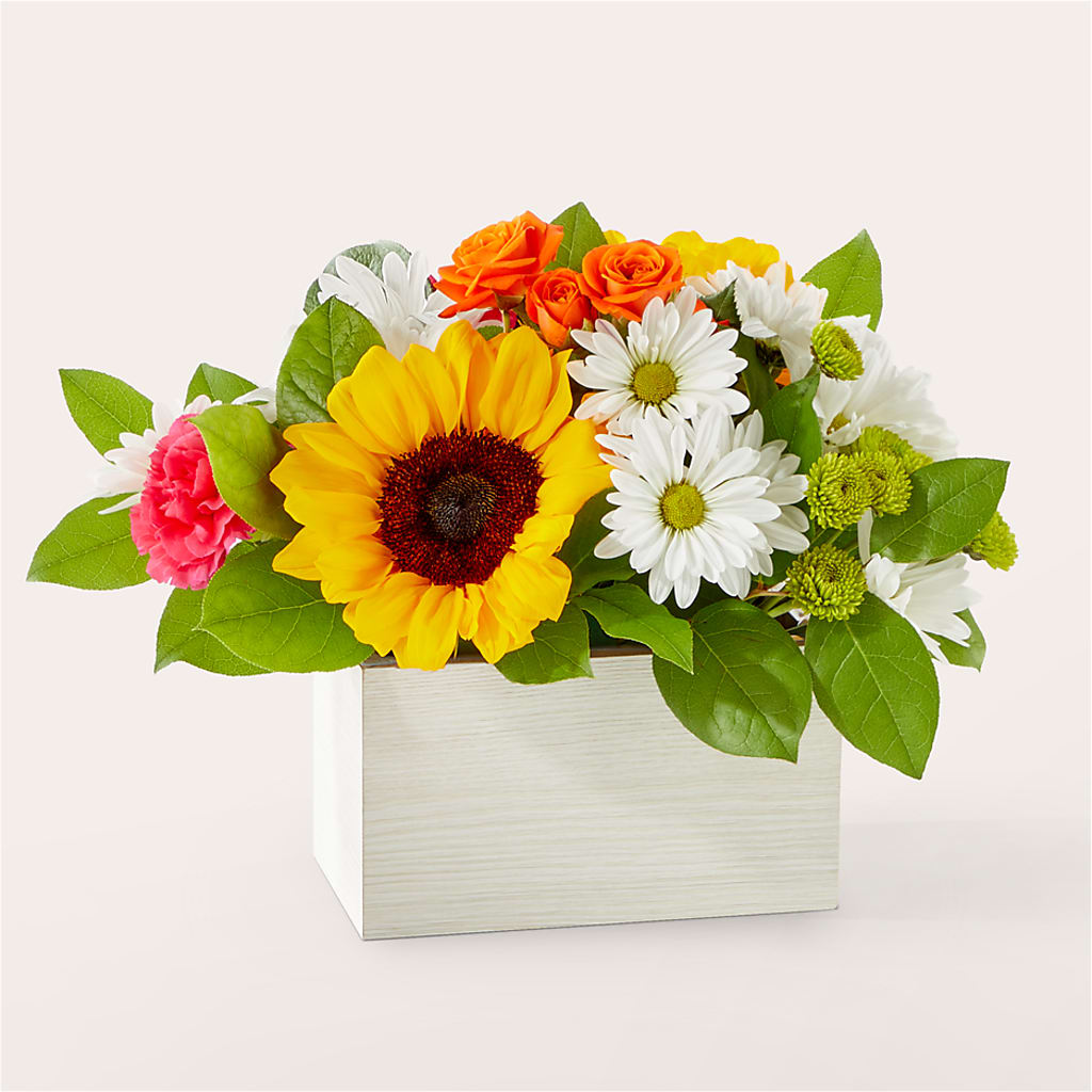 Sun-drenched Blooms Box Bouquet – Ambrosia Flowers, Castle Rock CO