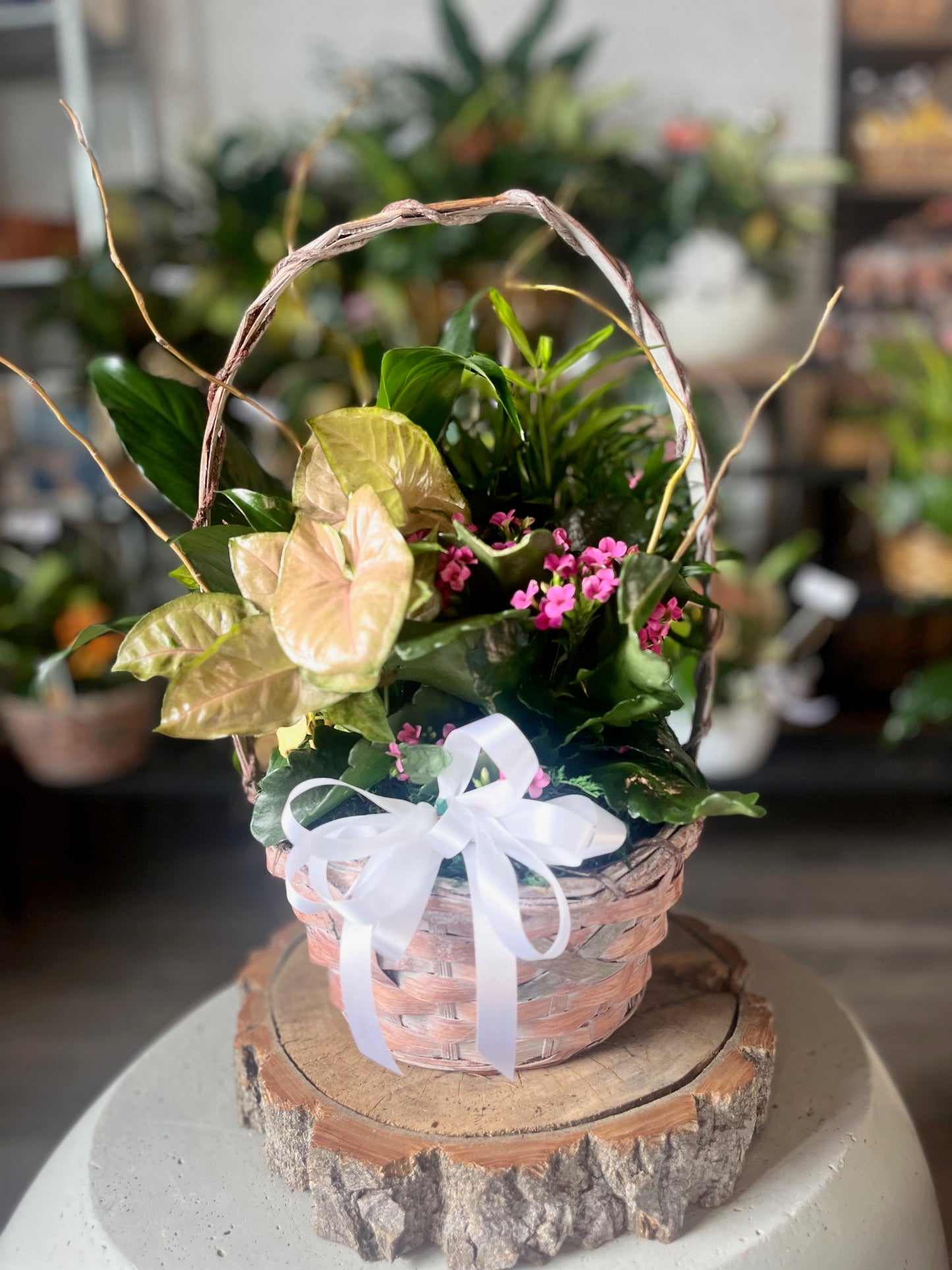 Basket Dish Garden – Ambrosia Flowers, Castle Rock CO