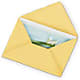 Greeting Card – Ambrosia Flowers, Castle Rock CO