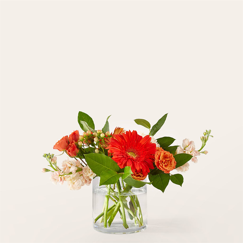 Paloma Please Bouquet – Ambrosia Flowers, Castle Rock CO