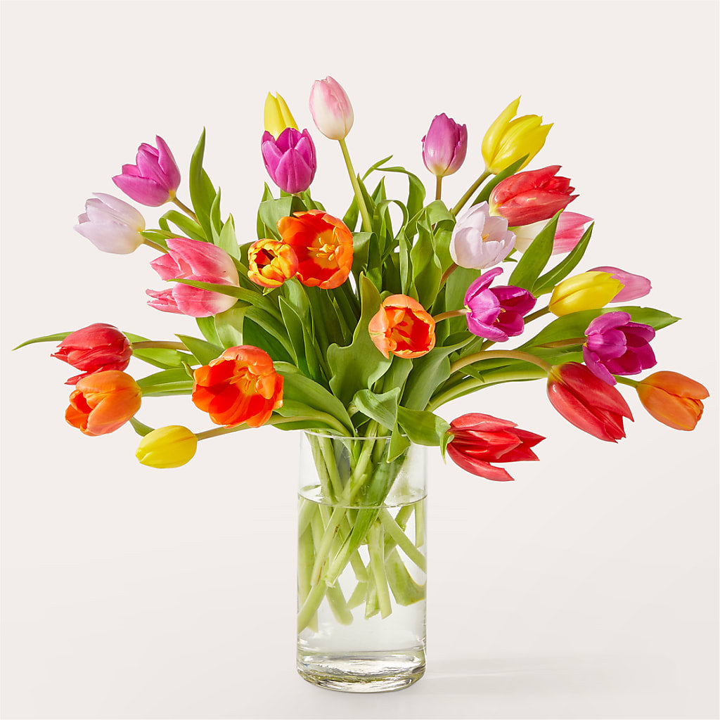 Let's Talk Tulips Bouquet – Ambrosia Flowers, Castle Rock CO