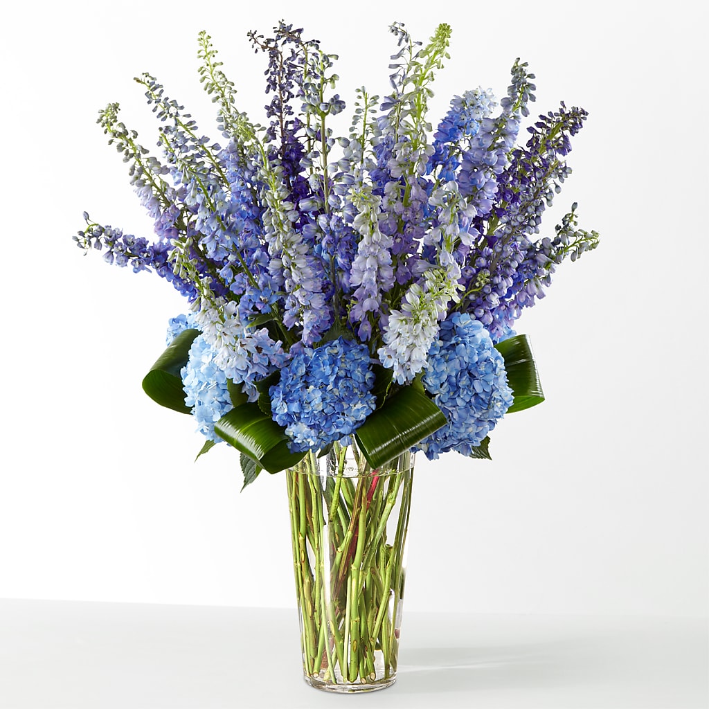 The Editorial – Ambrosia Flowers, Castle Rock CO