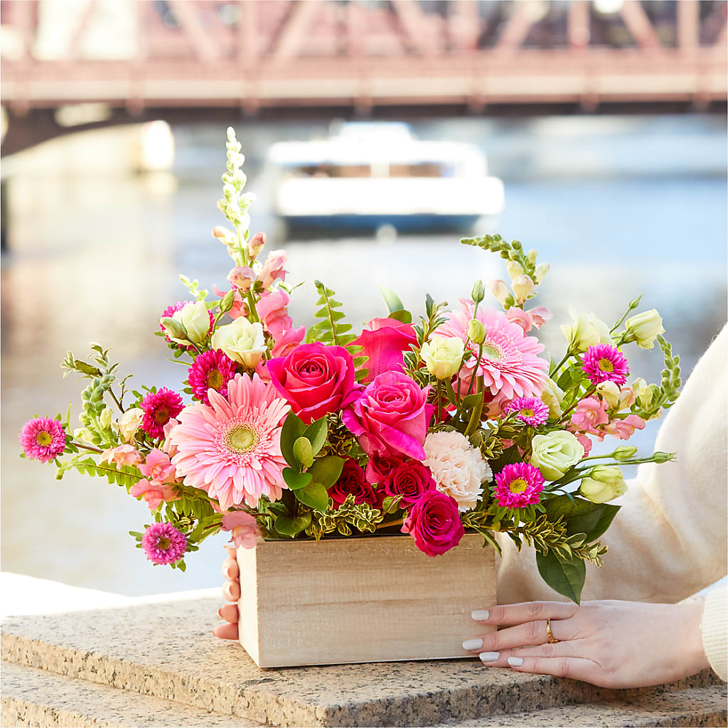 Too Cute Bouquet –  Ambrosia Flowers, Castle Rock CO