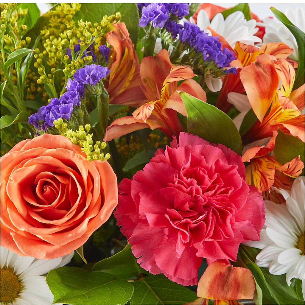 Oopsie Daisy Box Bouquet –  Ambrosia Flowers, Castle Rock CO