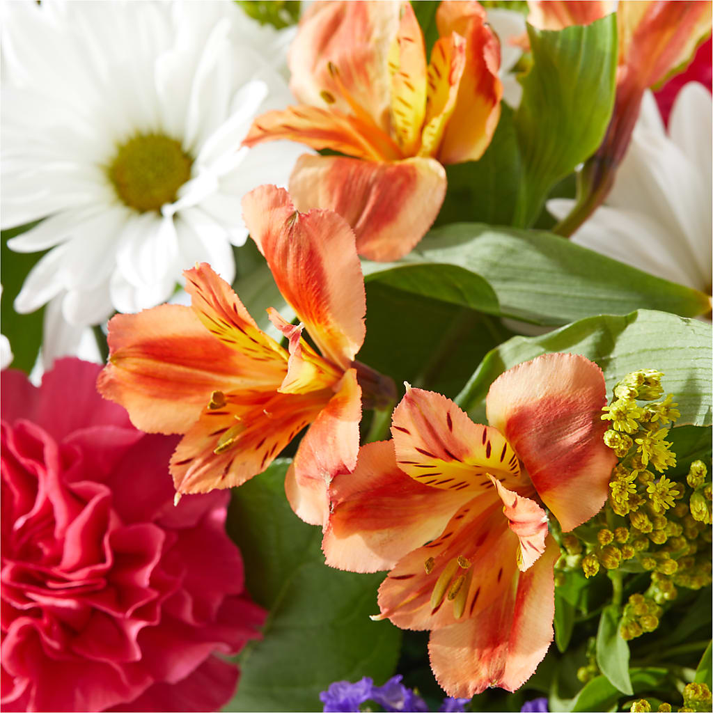 Oopsie Daisy Box Bouquet –  Ambrosia Flowers, Castle Rock CO
