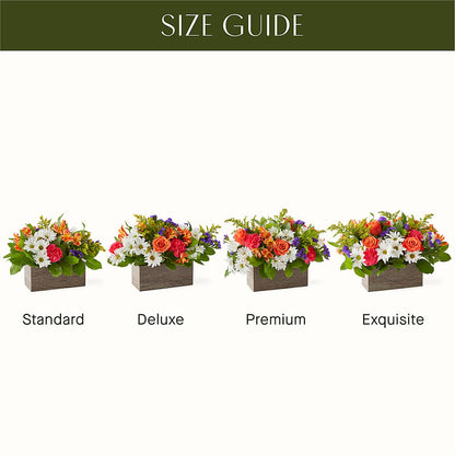 Oopsie Daisy Box Bouquet –  Ambrosia Flowers, Castle Rock CO