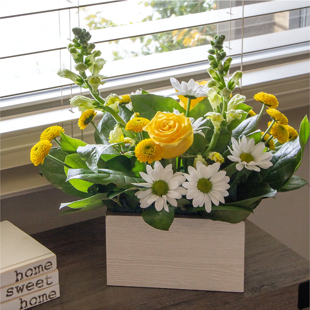 Sun Salutation Box Bouquet –  Ambrosia Flowers, Castle Rock CO