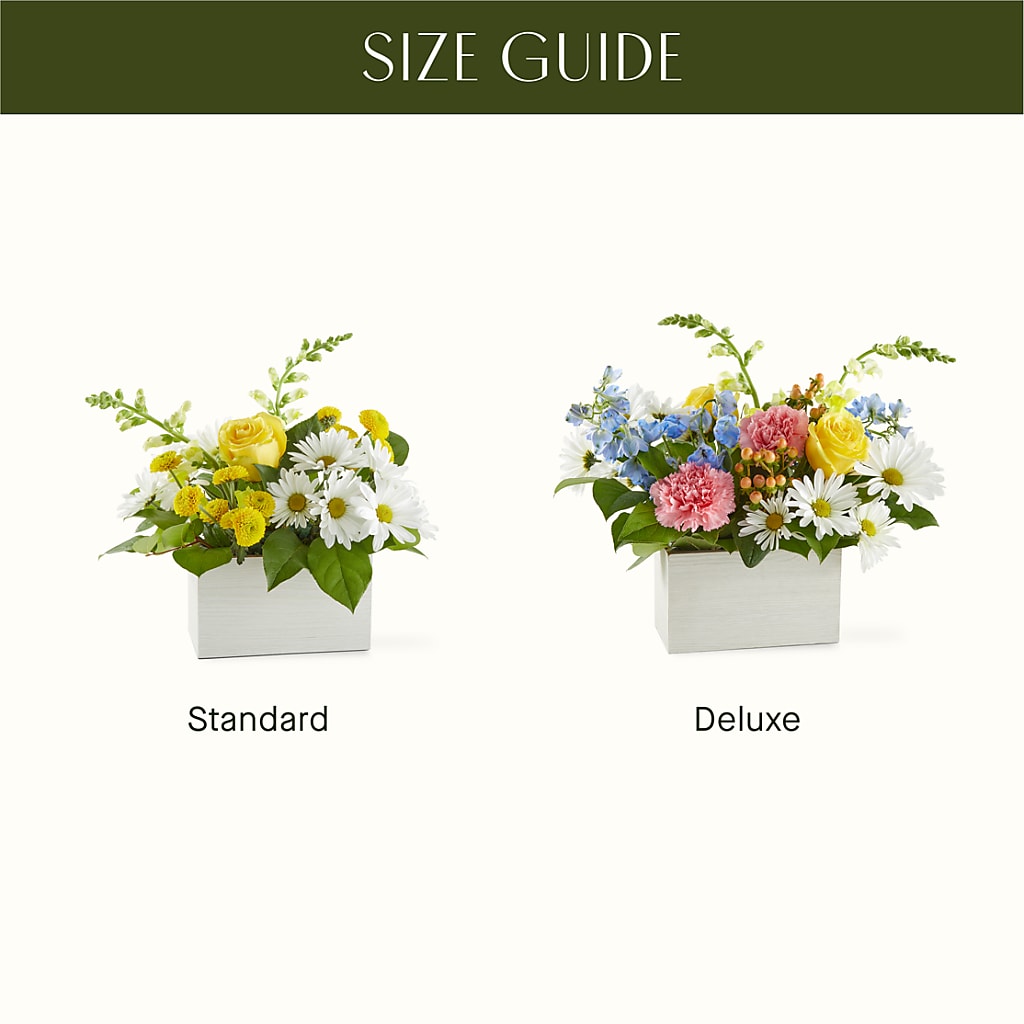 Sun Salutation Box Bouquet –  Ambrosia Flowers, Castle Rock CO