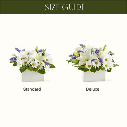 Beyond Blue Box Bouquet –  Ambrosia Flowers, Castle Rock CO