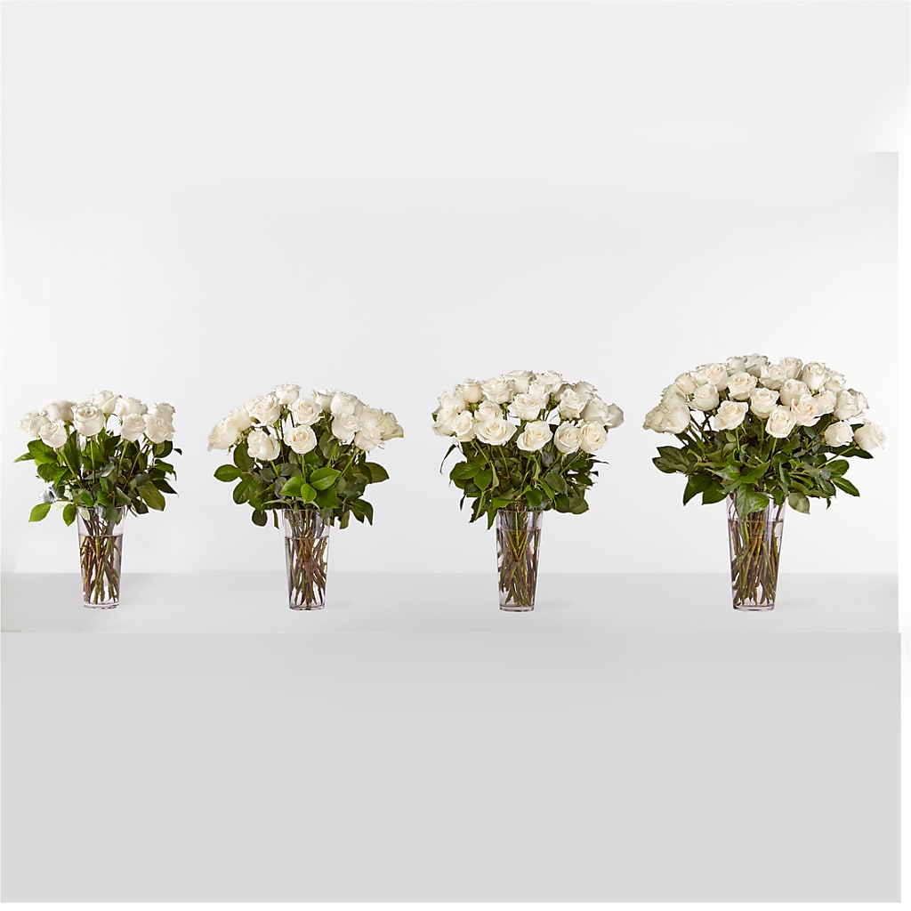 Long Stem White Rose Bouquet –  Ambrosia Flowers, Castle Rock CO