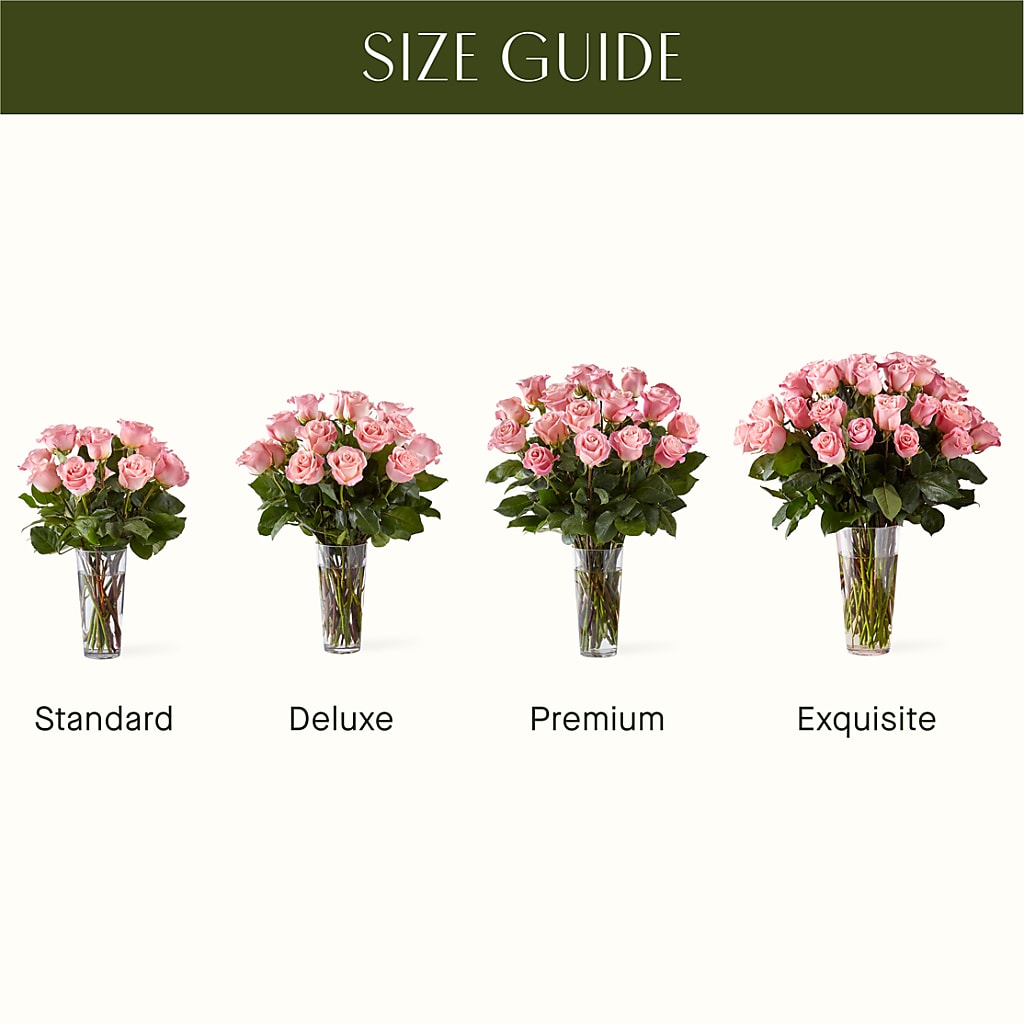 Long Stem Pink Rose Bouquet –  Ambrosia Flowers, Castle Rock CO