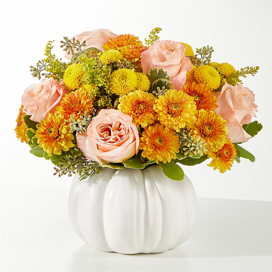 Peachy Pumpkin –  Ambrosia Flowers, Castle Rock CO