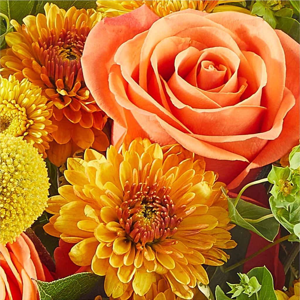 Gourdgeous Pumpkin –  Ambrosia Flowers, Castle Rock CO
