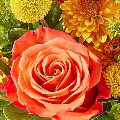 Gourdgeous Pumpkin –  Ambrosia Flowers, Castle Rock CO