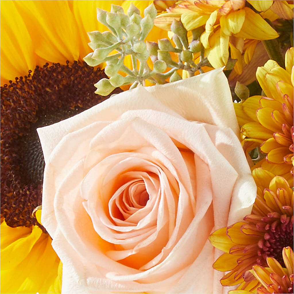 Pumpkin to Talk About Bouquet –  Ambrosia Flowers, Castle Rock CO