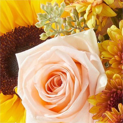 Pumpkin to Talk About Bouquet –  Ambrosia Flowers, Castle Rock CO