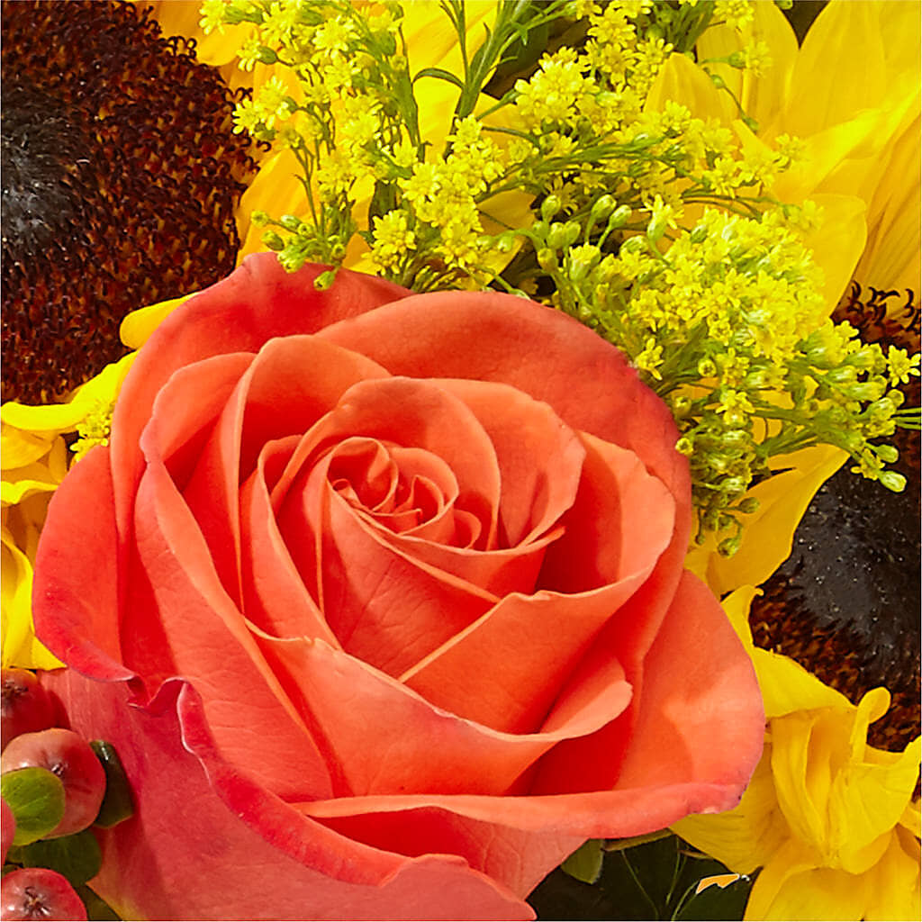 Pick of the Patch Pumpkin Bouquet –  Ambrosia Flowers, Castle Rock CO