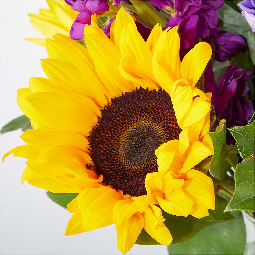 Catching Rays Bouquet –  Ambrosia Flowers, Castle Rock CO