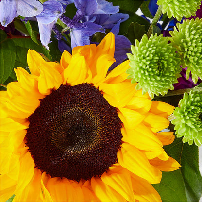Catching Rays Bouquet –  Ambrosia Flowers, Castle Rock CO