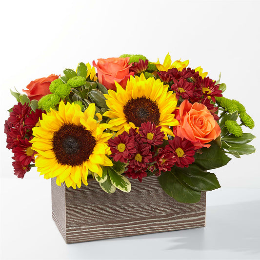 Happy Harvest Garden –  Ambrosia Flowers, Castle Rock CO