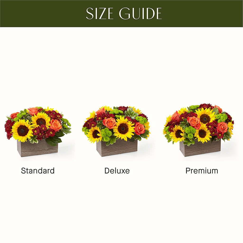 Happy Harvest Garden –  Ambrosia Flowers, Castle Rock CO