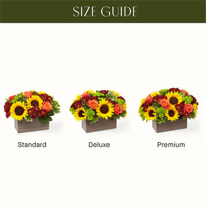 Happy Harvest Garden –  Ambrosia Flowers, Castle Rock CO