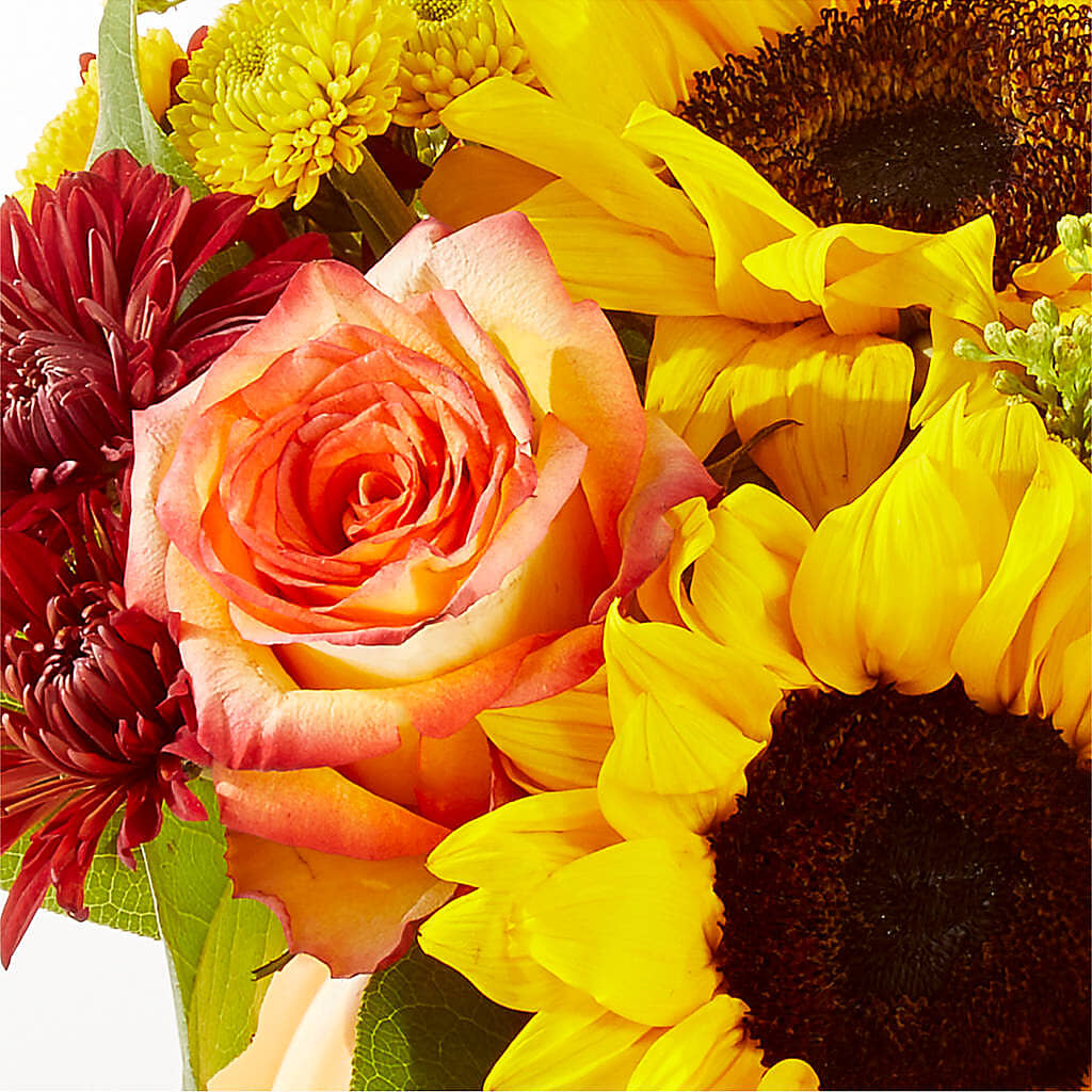 Golden Gourd Pumpkin Bouquet –  Ambrosia Flowers, Castle Rock CO