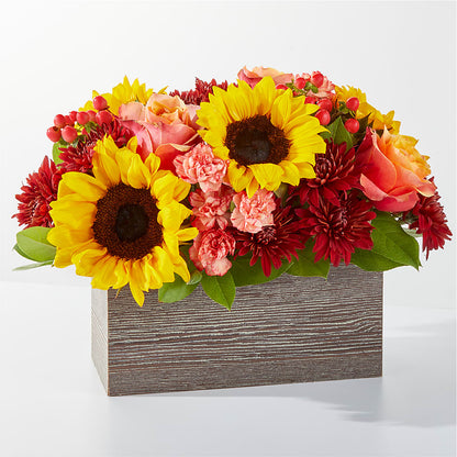 Fresh Cider Bouquet –  Ambrosia Flowers, Castle Rock CO
