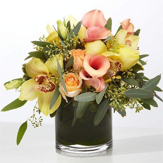 The Visionary –  Ambrosia Flowers, Castle Rock CO