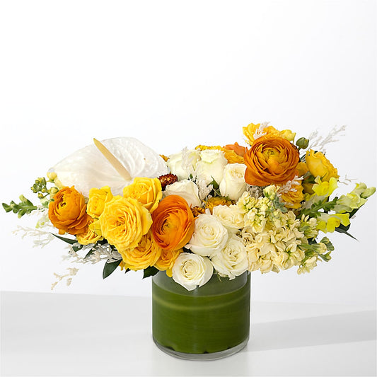 The Optimist –  Ambrosia Flowers, Castle Rock CO