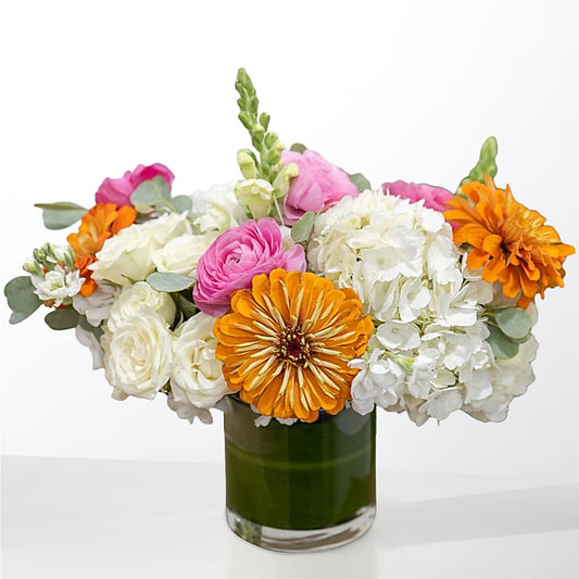The Meet Cute –  Ambrosia Flowers, Castle Rock CO