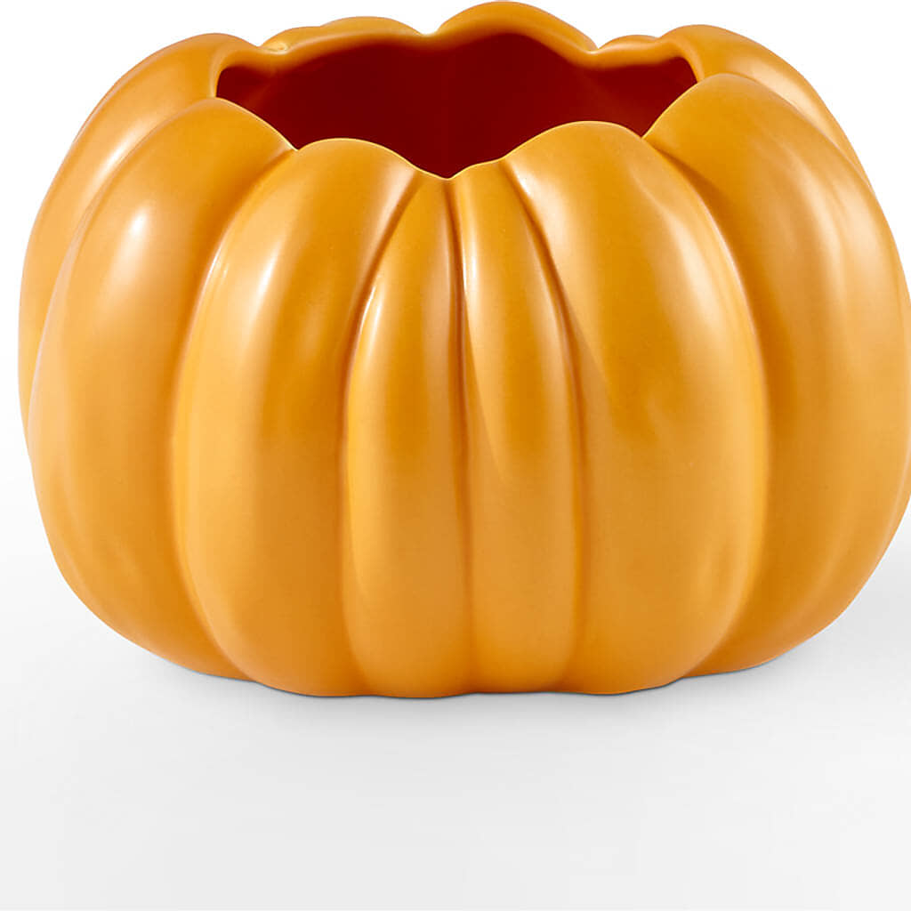 Pick of the Patch Pumpkin Bouquet –  Ambrosia Flowers, Castle Rock CO