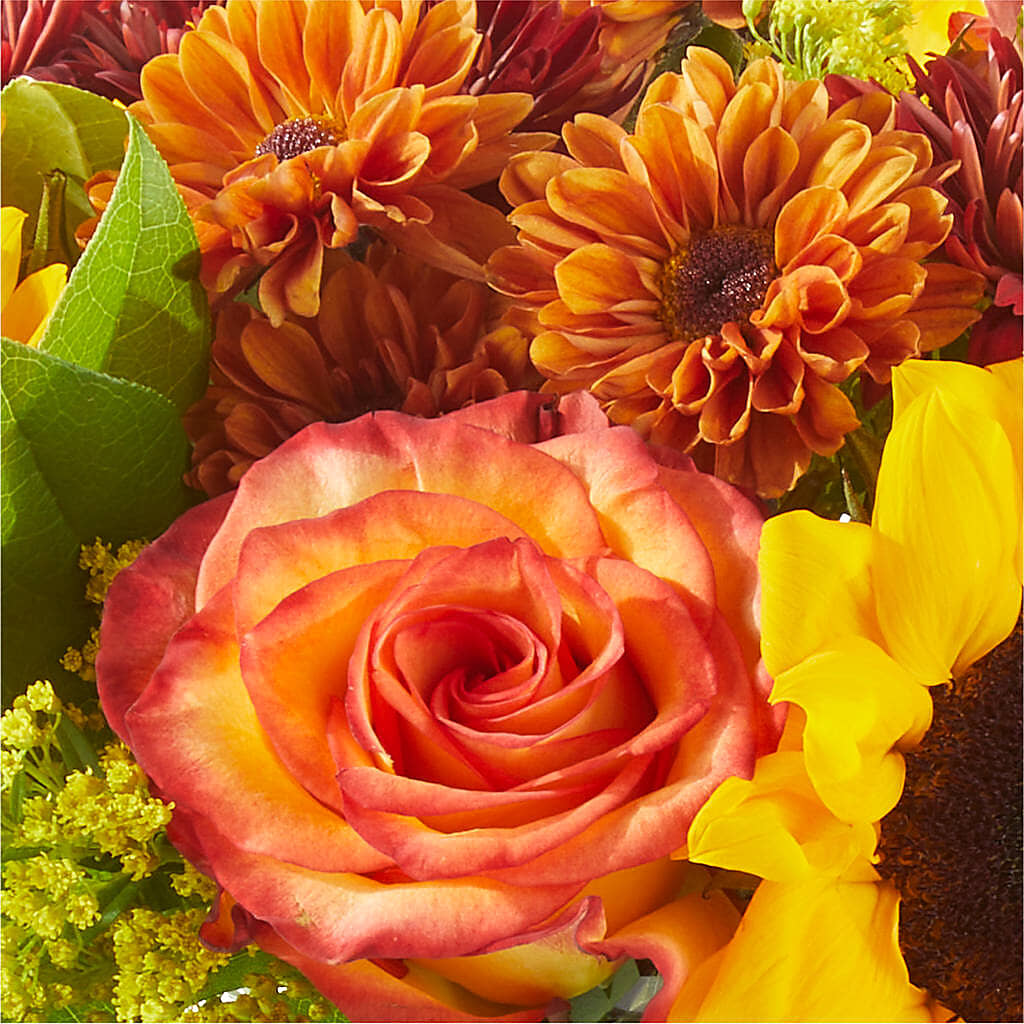 Flannel Scarf Bouquet –  Ambrosia Flowers, Castle Rock CO