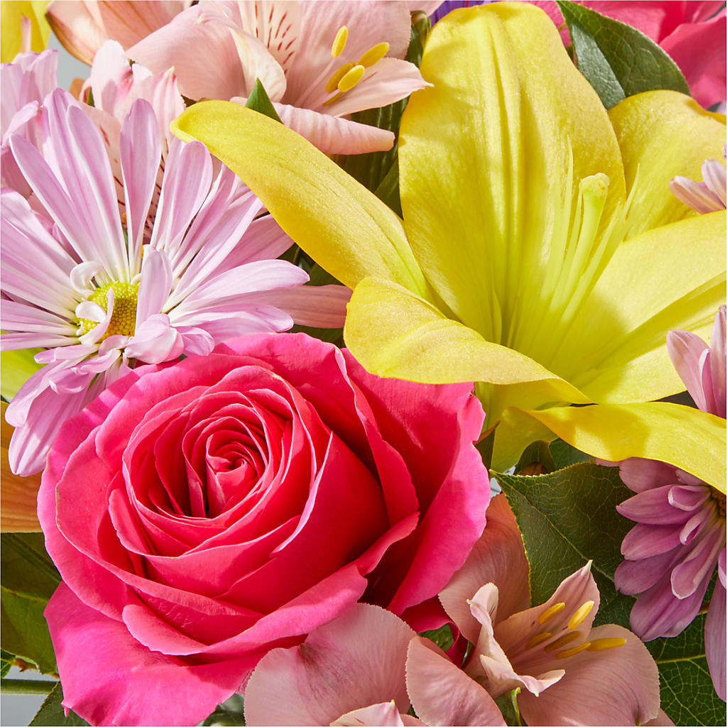 Sprinkles Bouquet –  Ambrosia Flowers, Castle Rock CO