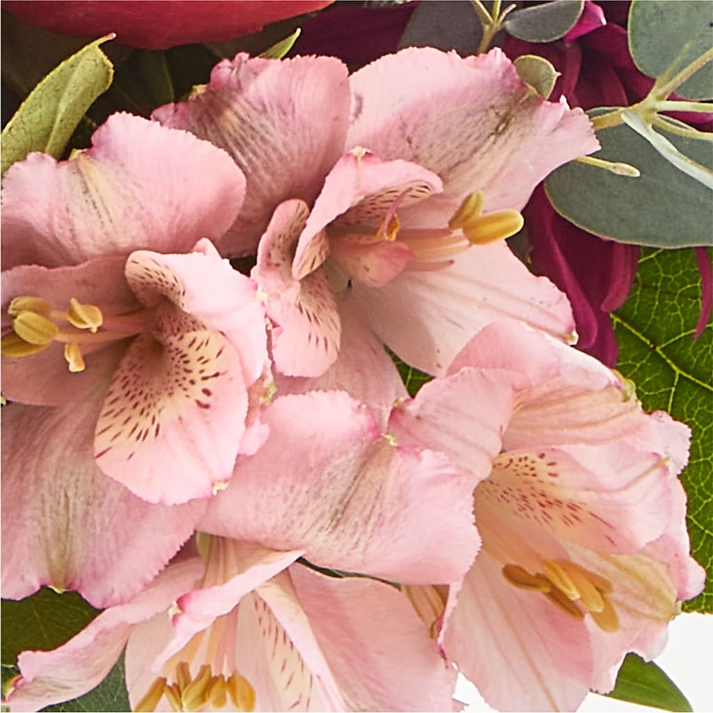 Berry Cobbler Bouquet –  Ambrosia Flowers, Castle Rock CO