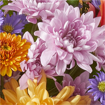 Countryside Bouquet –  Ambrosia Flowers, Castle Rock CO