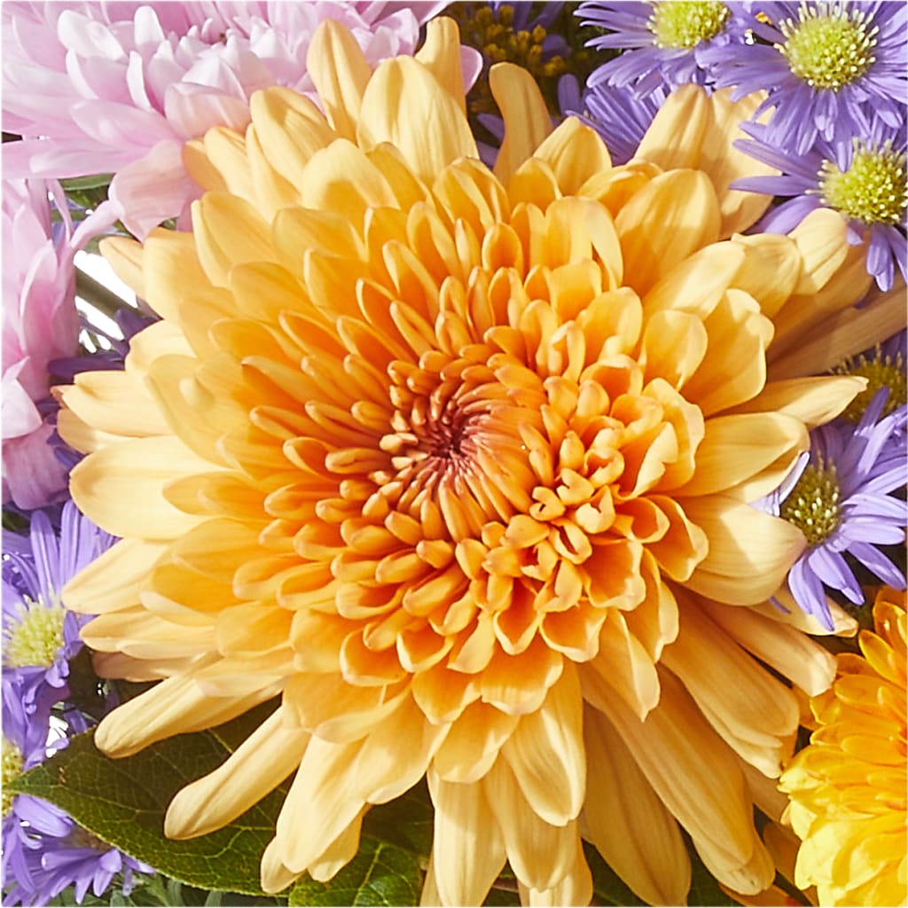 Countryside Bouquet –  Ambrosia Flowers, Castle Rock CO