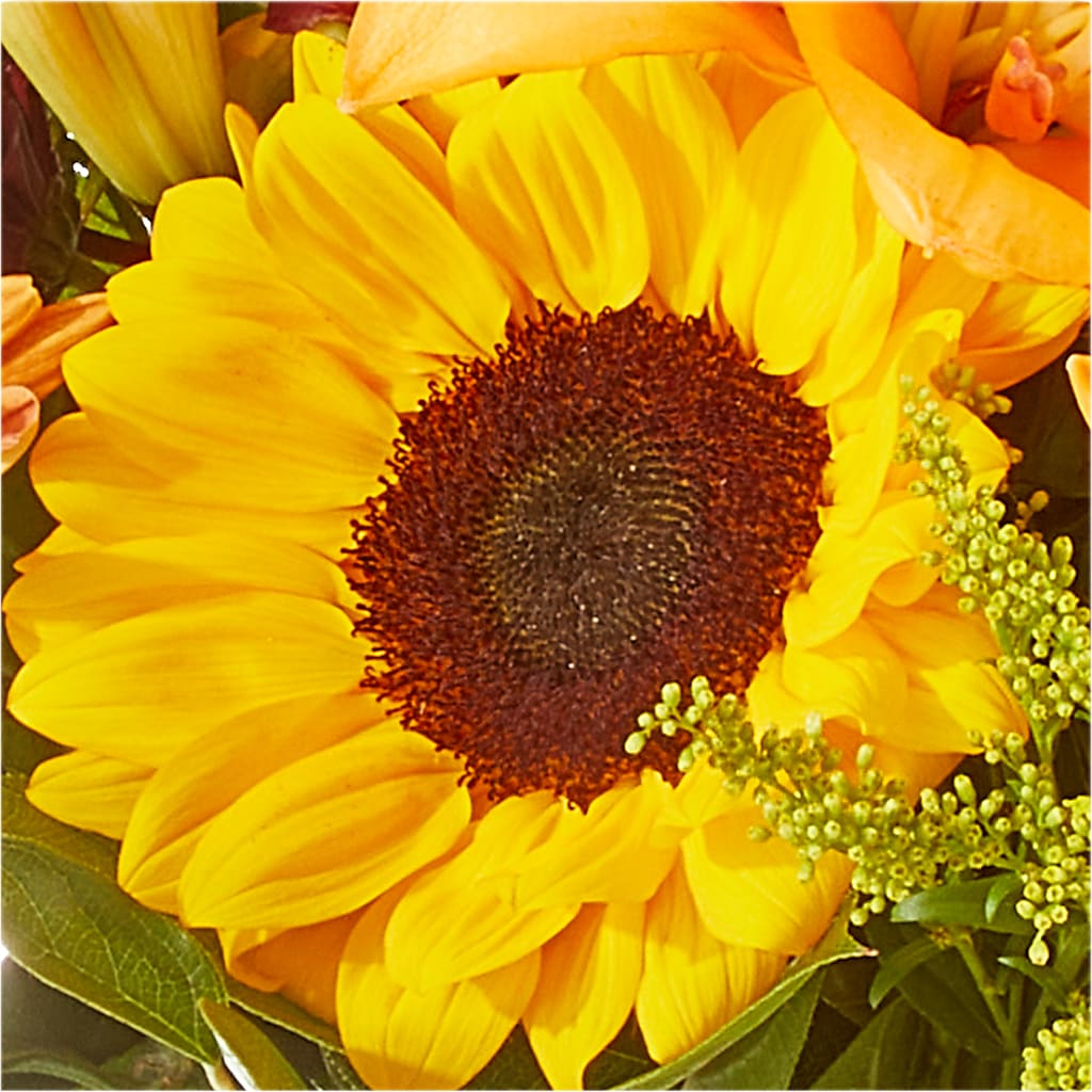Seasons Change Bouquet –  Ambrosia Flowers, Castle Rock CO