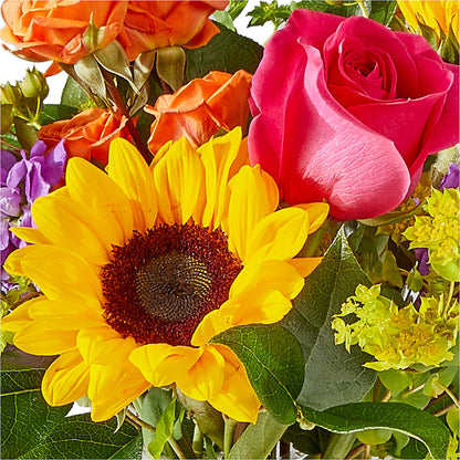 Vibrant Greetings Bouquet –  Ambrosia Flowers, Castle Rock CO