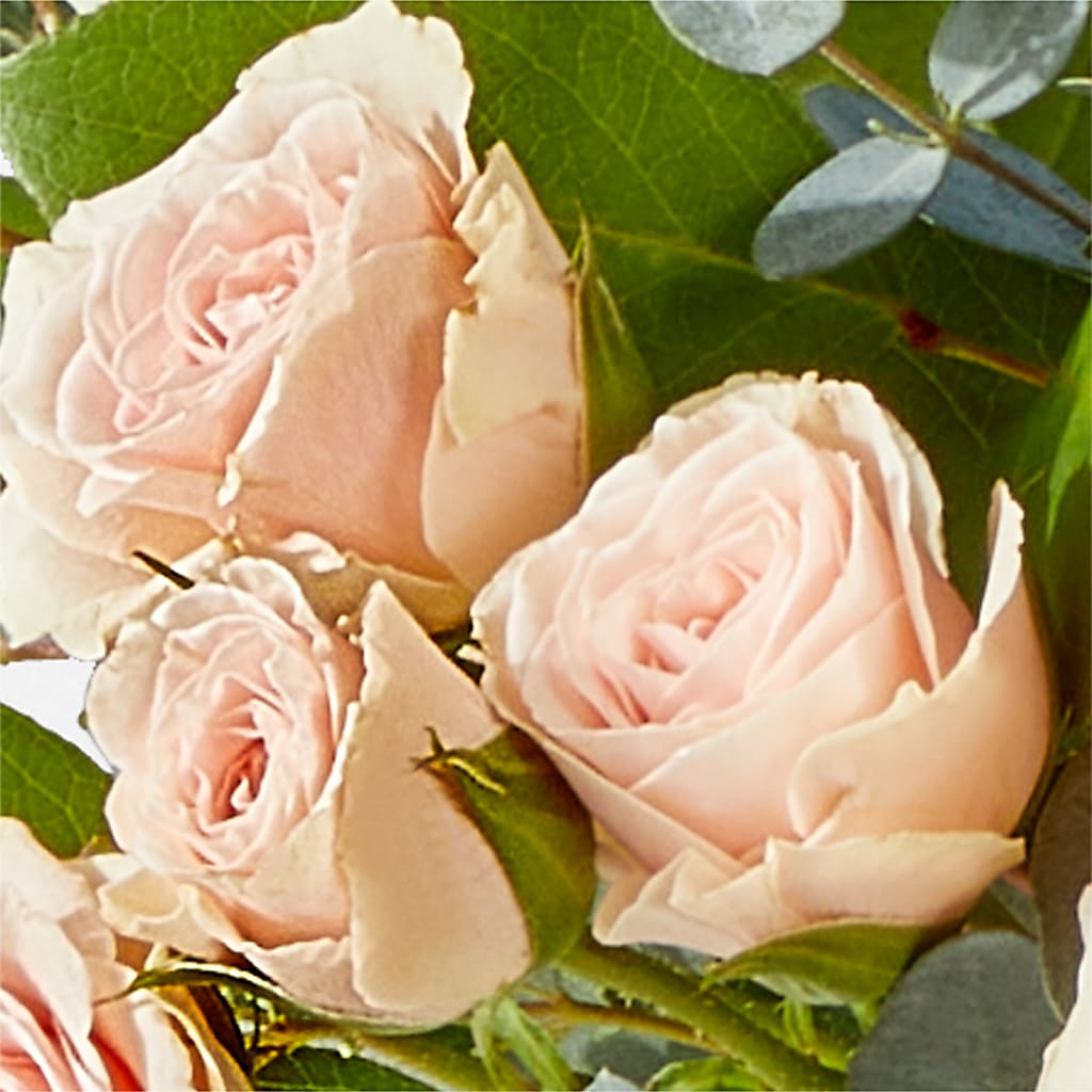 Inspired Bouquet –  Ambrosia Flowers, Castle Rock CO