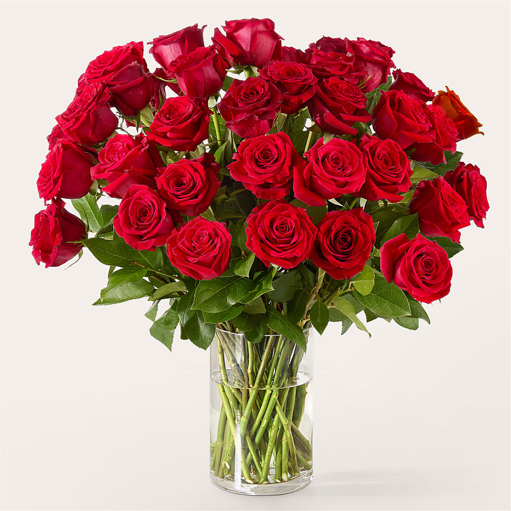 The One Red Rose Bouquet –  Ambrosia Flowers, Castle Rock CO