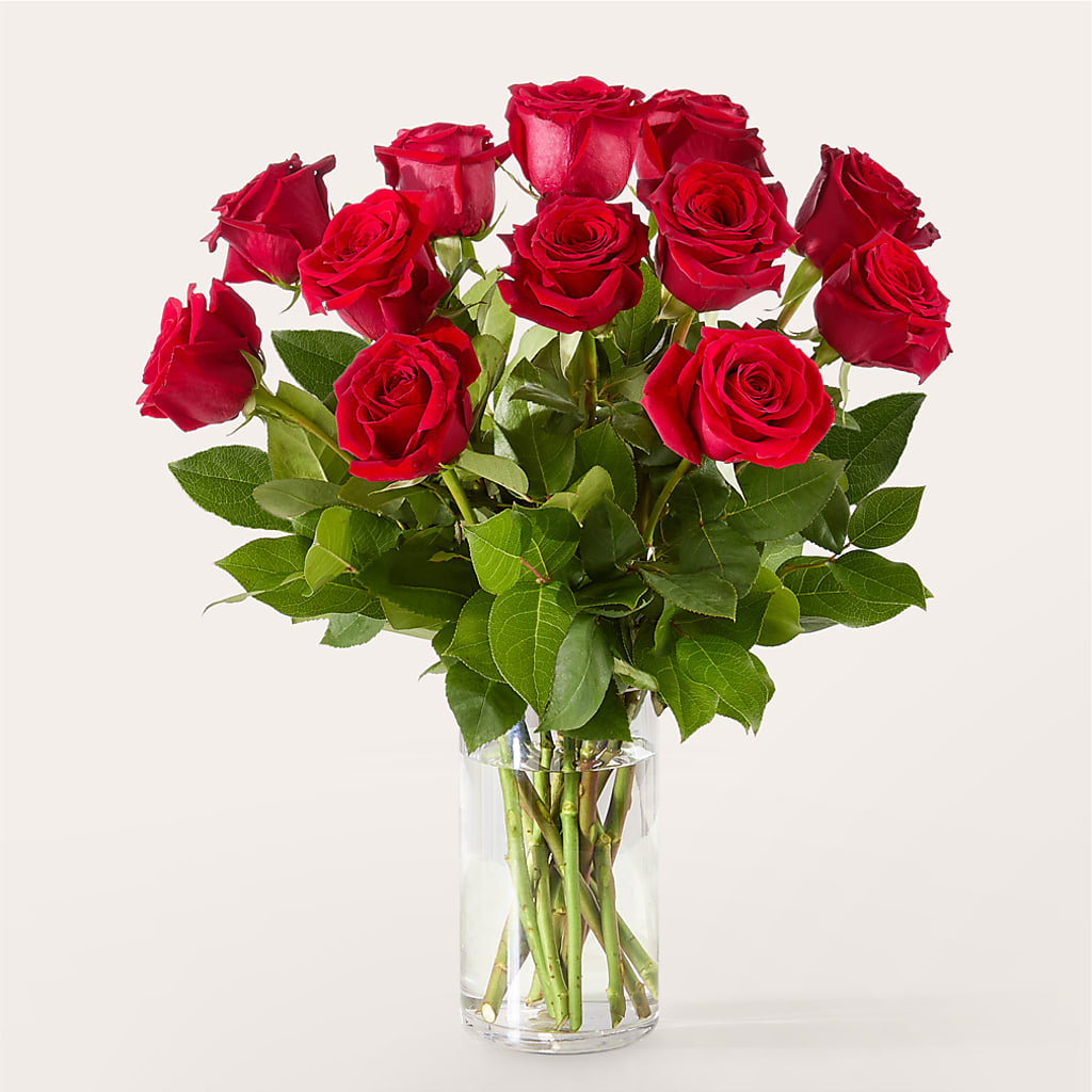The One Red Rose Bouquet –  Ambrosia Flowers, Castle Rock CO