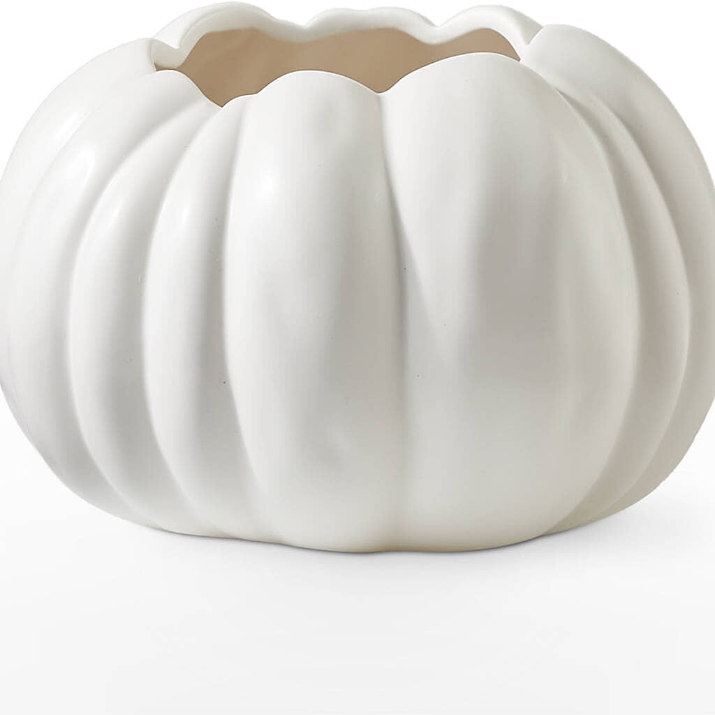 Pumpkin to Talk About Bouquet –  Ambrosia Flowers, Castle Rock CO